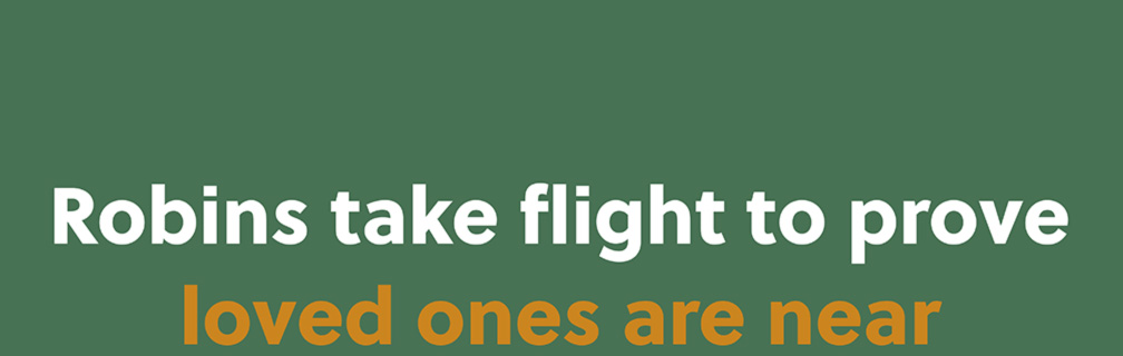Robins take flight to prove loved ones are near
